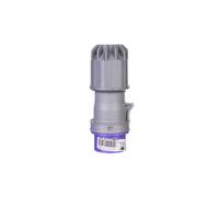 Portable Plug 32A 2P 24V Purple IP44 072v