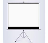 Portable Projection Screen, Foldable and Wall Mountable for Indoor and Outdoor Entertainment