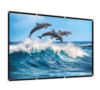 Portable Projector Screen, 16:9 HD 4K Foldable Movie Projection Screen for Home Theatre Cinema Office School Camping Party(110in(243x140cm))