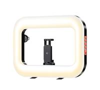 Portable Ring Light for Phone - Portable Rechargeable Type C Lamp, Adjustable Brightness, Phone Holder | 21.8 x 29.5 cm White LED Light for Live Streaming, Video Recording, Makeup, Zoom,