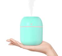 Portable Small Humidifier, USB Personal Desktop Humidifier for Car, Office Room, Bedroom, Auto Shut-Off, 2 Mist Modes, Super Quiet(220ml, Green)