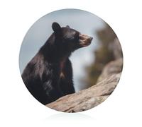 Portable Tempered Glass Cutting Board, Round 7.9 Inch - Easy to Clean & Scratch-Resistant Chopping Mat Big Brown Bear Chopping Board for Kitchen, Office, Travel