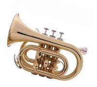 Portable Trumpet B Flat Palm Trumpet Pocket Cornet Brass Instrument Nickel Copper Piston