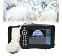 Portable Ultrasound Scanner with Convex Probe for Veterinary Imaging
