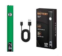 Portable USB Soldering Iron, Stainless Steel Pen-Style with Adjustable Temperature, Interchangeable Tips for On-the-Go Repairs and Workshop Projects(Green)