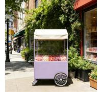 Portable Vendor Cart with Canopy, Foldable Iron Frame Food Stand | Mobile display trolley for farmers markets, street food, trade shows and flea markets(B,140CM/55.1IN)