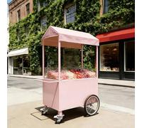 Portable Vendor Cart with Canopy, Foldable Iron Frame Food Stand | Mobile display trolley for farmers markets, street food, trade shows and flea markets(F,140CM/55.1IN)