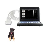 Portable VET Veterinary Ultrasound Scanner Laptop Machine +Convex probe Dog/Cat