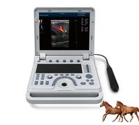 Portable Veterinary Ultrasound Scanner Machine Color Doppler LAPTOP Rectal Probe