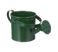 Portable Watering Can, Galvanized Iron Plant Watering Can, 1.5L Vintage Flower Watering Pot with Sturdy Handle, Decorative Garden Ornament for Backyard, Patio, Lawn and Do Use