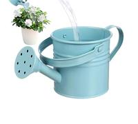 Portable Watering Can, Galvanized Iron Plant Watering Can, 1.5L Vintage Flower Watering Pot with Sturdy Handle, Decorative Garden Ornament for Backyard, Patio, Lawn and Do Use