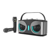 Portable Wireless Karaoke Speaker, Dual Microphones, Home KTV, Outdoor Party, RGB Light Effects, Gray, 10.2 x 4.3 x 5.4 in