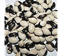 Portal Cool 10 + Certified Organic Calypso Fagiolo Semi ~ Fagioli Orka ~ Yin Yang