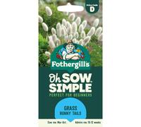 Portal Cool 100Pcs Jasmine Flower Seeds Fragrant Home Garden Plant Seed Wedding Decor Nice