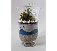 Portal Cool #16 Black: Tillandsia Coloured Sand for Air Plant Decoration Aquarium Viviarium House