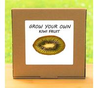 Portal Cool Grow Your Own Kiwi Fruit Tree Kit - Indoor sill Gardening Gift Set