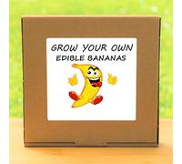 Portal Cool Grow Your Own Musa Banana Tree Plant Kit - Indoor sill Gardening Gift Set