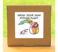 Portal Cool Package Seeds: Grow Your Own Carnivorous Pitcher Seeds Kit - Deck Gardening Gift Windowsill
