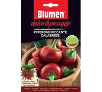 Portal Cool Verdure Immagine Packet dolce e piccante Peperoncino Piccante Piccante Calabrese