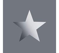 Portfolio XII Metallic Stars Wallpaper Grey/Silver Rasch 248197