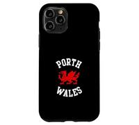 Porth Wales Welsh Dragon Suitable for Kids Men Women Case for iPhone 11 Pro