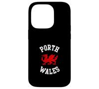 Porth Wales Welsh Dragon Suitable for Kids Men Women Case for iPhone 14 Pro