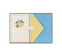 Portico Designs Lemon Boxed Notecards with Envelopes