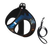 Portland at Night Print Dog Harness with Leash Set with Thickened Padded Vest for Extra-Small/Small Medium Dogs
