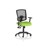 Portland III Mesh Back With Height Adjustable Arms Bespoke Colour Seat Myrrh Green