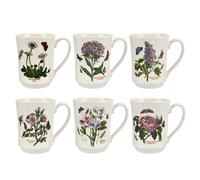 Portmeirion Botanic Garden Flared Tankard Mug Set of 6
