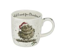 Portmeirion Royal Worcester, Owl I Want for Christmas (owl) Single Mug, Multi-Coloured