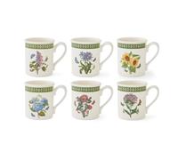 Portmeirion x Botanic Garden Etchings Set of 6 Breakfast Mugs (260ml) - Floral Earthenware Coffee & Tea Mugs for Everyday Use, Made in England
