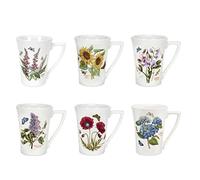 Portmerion Botanic Garden Mandarin Set of 6 Mugs 10oz