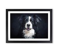 Portrait of a Border Collie Dog in Abstract Framed Print | A2 Black Framed Wall Art | Ready to Hang | Abstract Animal Picture | Living Room Bedroom Lounge Office