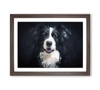 Portrait Of A Border Collie Dog In Abstract Modern Art Framed Print | A3 Walnut Framed Wall Art | Ready to Hang | Abstract Animal Picture | Living Room Bedroom Lounge Office