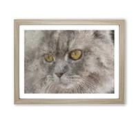Portrait Of A Cat Vol.12 Painting Modern Art Framed Print | A4 Oak Framed Wall Art | Ready to Hang | Modern Animal Picture | Living Room Bedroom Lounge Office