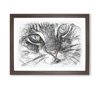 Portrait Of A Cat Vol.2 Sketch Modern Art Framed Print | A4 Walnut Framed Wall Art | Ready to Hang | Modern Animal Picture | Living Room Bedroom Lounge Office