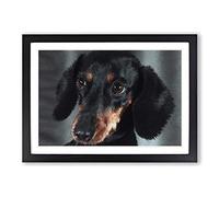 Portrait of a Dachshund Dog in Abstract Framed Print | A2 Black Framed Wall Art | Ready to Hang | Abstract Animal Picture | Living Room Bedroom Lounge Office