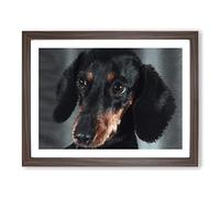 Portrait Of A Dachshund Dog In Abstract Modern Art Framed Wall Art Print, Ready to Hang Picture for Living Room Bedroom Home Office Décor, Walnut A4 (34 x 25 cm)