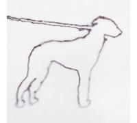 portrait of a dog