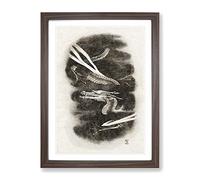 Portrait Of A Dragon Asian Japanese Framed Wall Art Print, Ready to Hang Picture for Living Room Bedroom Home Office Décor, Walnut A3 (34 x 46 cm)