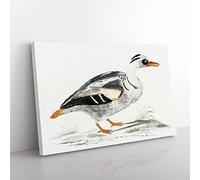 Portrait Of A Duck By Johan Teyler Vintage Canvas Wall Art Print Ready to Hang, Framed Picture for Living Room Bedroom Home Office Décor, 60x40 cm (24x16 Inch)