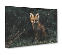 Portrait Of A Fox Canvas Print | Gallery Wrapped 30mm Frame Wall Art | 20x14 inches | Ready to Hang | Modern Animals Picture | Living Room Bedroom Lounge Office