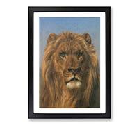Portrait of A Lion Vol.2 by Rosa Bonheur Framed Print | A2 Black Framed Wall Art | Ready to Hang | Modern Animal Picture | Living Room Bedroom Lounge Office