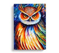 Portrait Of A Long Eared Owl Canvas Wall Art Print 30x20 Inch