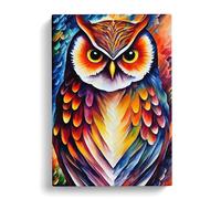 Portrait Of A Long Eared Owl Canvas Wall Art Print 30x20 Inch
