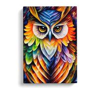 Portrait Of A Long Eared Owl Canvas Wall Art Print 30x20 Inch