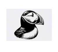 'Portrait Of A Puffin Bird' Temporary Tattoo - Water Resistant, Skin-Safe, Non-Toxic Transfer (TO00074033)
