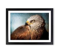 Portrait Of A Red Kite Bird Modern Art Framed Print | A4 Black Framed Wall Art | Ready to Hang | Modern Nature Picture | Living Room Bedroom Lounge Office