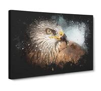 Portrait Of A Red Kite Bird Paint Splash Canvas Print | Gallery Wrapped 30mm Frame Wall Art | 20x14 inches | Ready to Hang | Modern Animals Picture | Living Room Bedroom Lounge Office